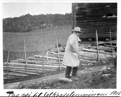 Folkeavstemning, Bjørnson, gjerde, vei