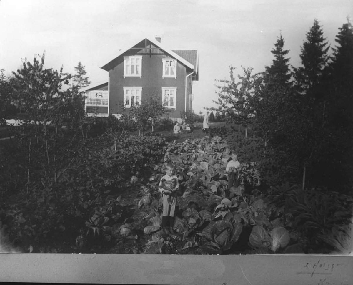 Villa "Brustad" i Kirkevn, Ski.