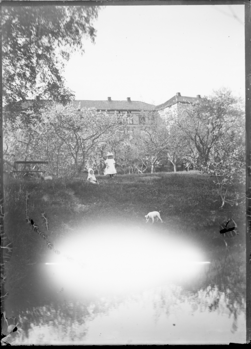 To barn i hagen på Linderud Gård, med en hund.