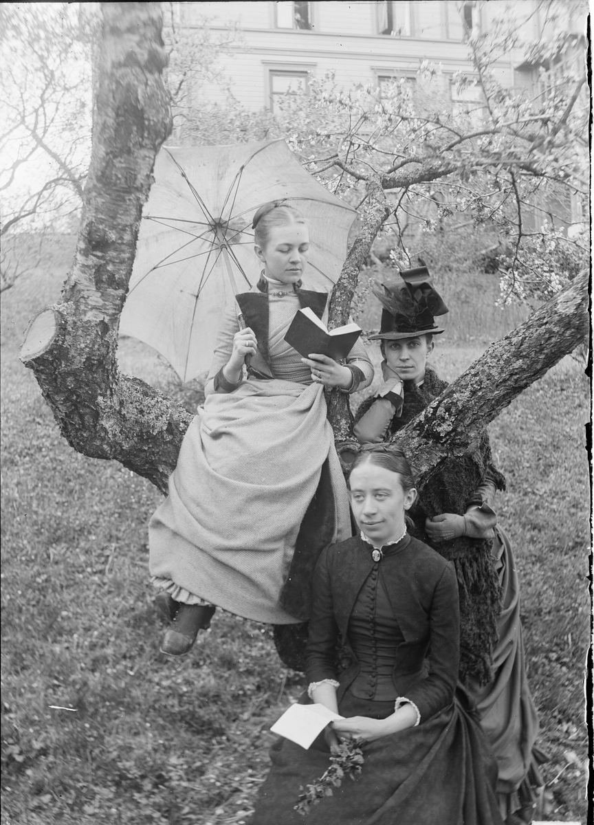 "Agnes og Anna Mathiesen. Ruth Wetlesen i forgrunden." (Bildetekst fra album) Tre damer sitter i et tre på Linderud Gård.