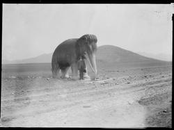 En stor elefant-statue på en åpen plass ved Ming-dynasiets g