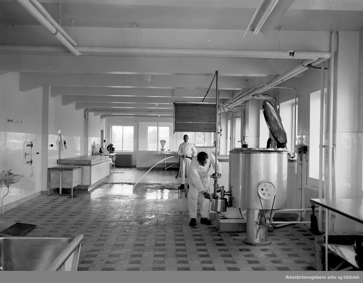 Oslo Samvirkelag..Iskremfabrikk på Hasle,.juli 1949