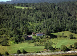 Olav Brakstad Rausand