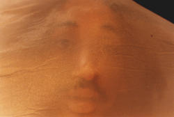 "Treet", med elever fra Nordic Black Theatres teaterskolen.K