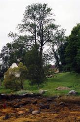 Williamsborg på Veøy, Veøy