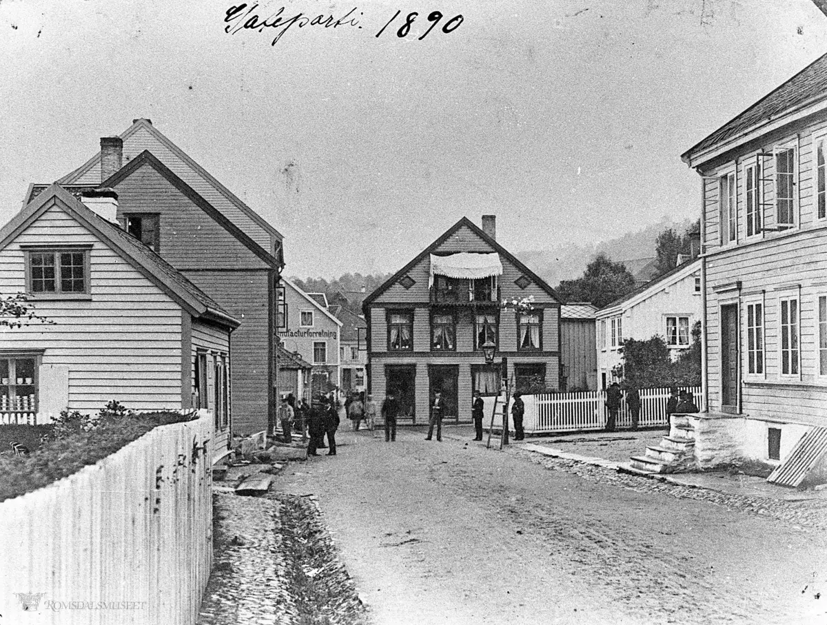 Fra Moldes gater 1890. Storgata sett vestover..Med Harald Eide sitt hus..Slakter O.G.Steen til nærmest på venstre side, også eid av Owren.