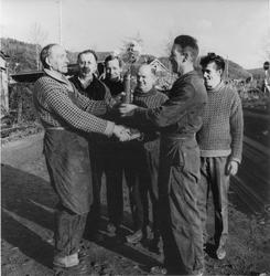 Ansatte i A.Lønseth A/S..Bildet er fra området Exportbrygga,