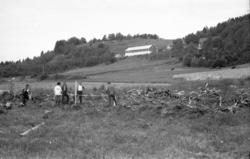 Kavelveien på Tiltereide, Eidsvåg. .Siste rester av Kavlevei