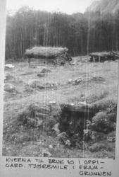 kverna til bruk 10 i Oppigard. Tjøremile i framgrunnen.