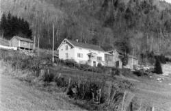 .(Bilder brukt i "Gards- og ættesoge for Nesset").