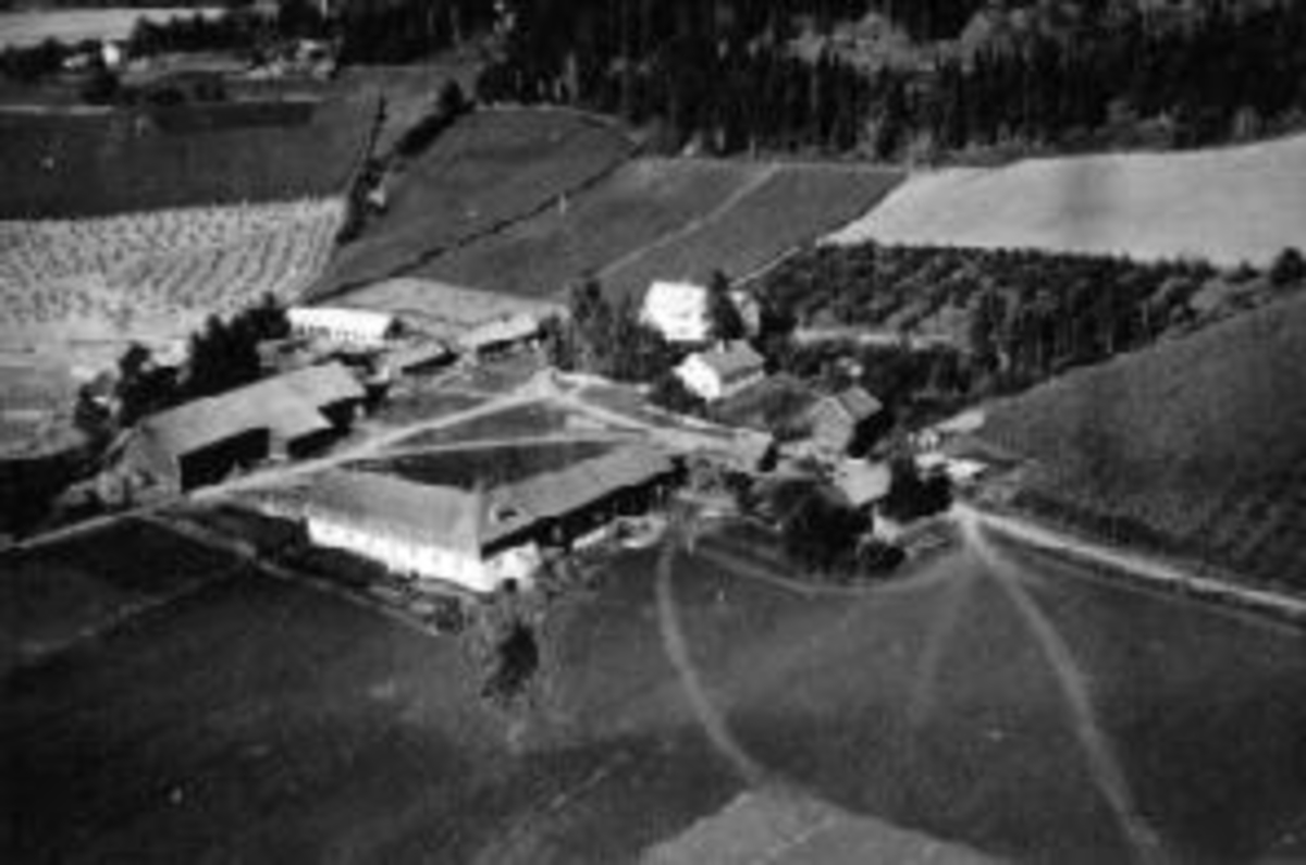Flyfoto av Kvam, Nes, Hedmark. Hagen til høyre ble plantet i 1939. Revet opp med nye brukere i 1940-åra.