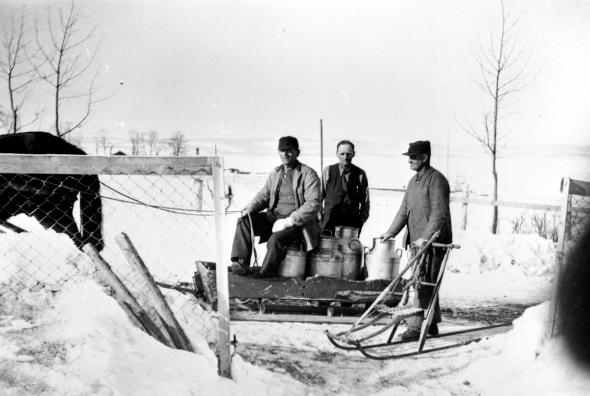 Mjølkekjøring med hest og slede til Sundgård, Helgøya. Fra venstre er Hans Mathiasen Staff (1890-1978), Johan August Sund (1891-1963), bryggeekspeditør Karl Ivar Sund (1886-1971). Karl hadde ansvaret for isvegen over til Tingnes hvis isen la seg.