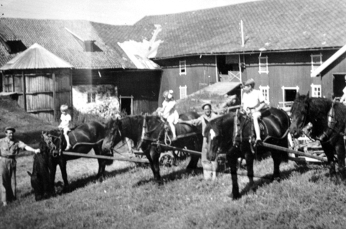 Eksteriør. Gardsbruk. Sju voksne og barn oppstillt foran låve på Dæli gård, Brøttum, Ringsaker. Fire hester. Silokum i tre.