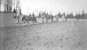 VÅRONN, POTETSETTING, 2 HESTER MED ARD, ARBEIDERE, ÅLSTAD GÅRDDUBL: 414-144. 