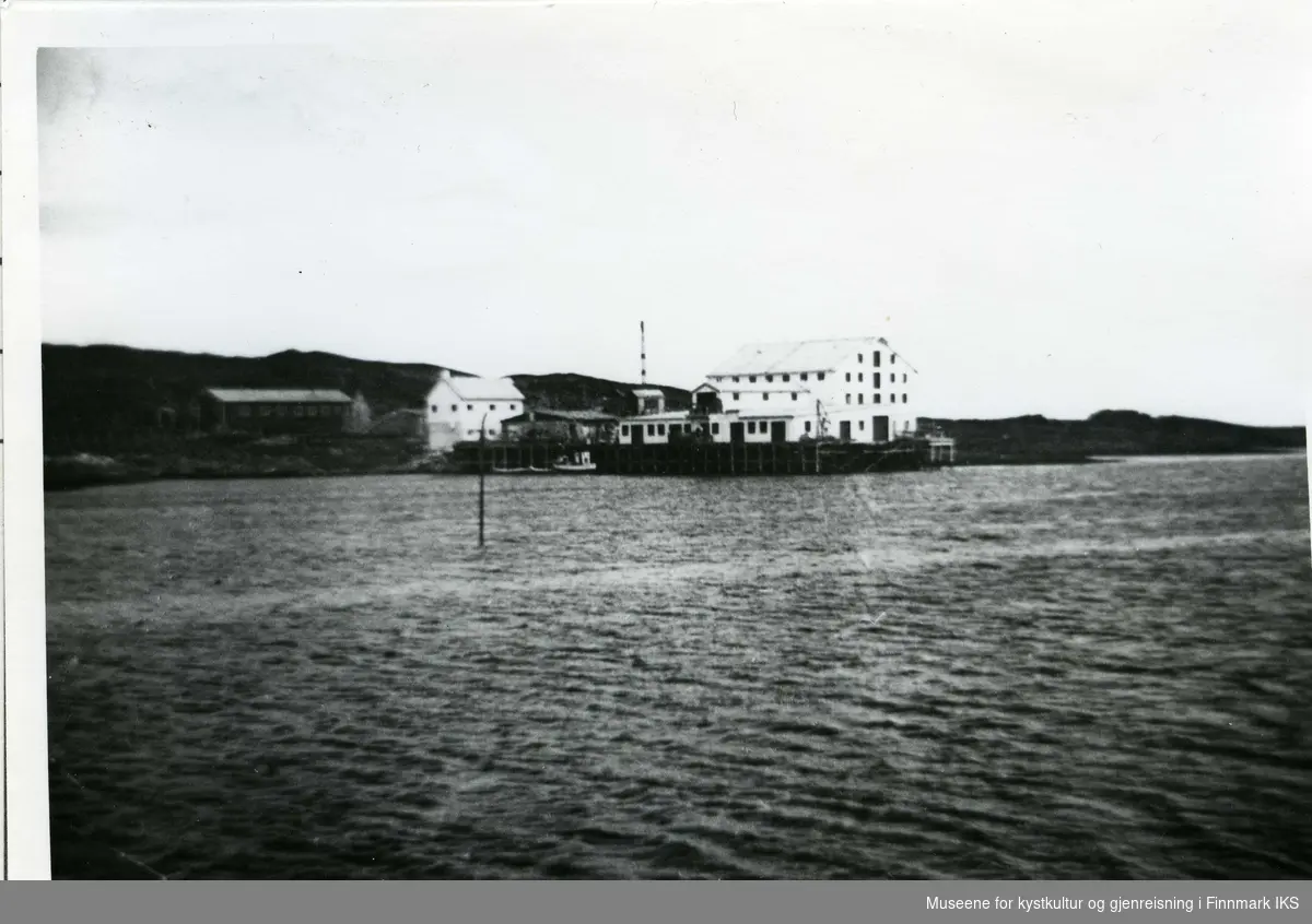 Gamvik Produksjonslag og Havnevesen-brakka.  Gamvik 1958.