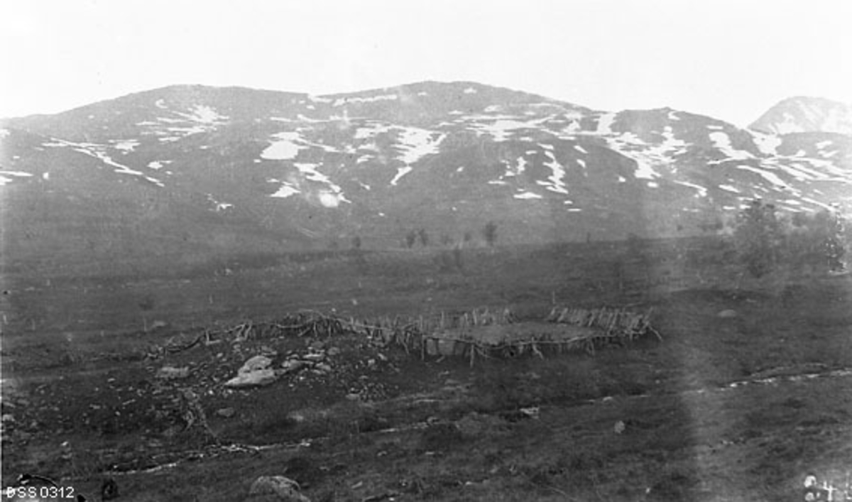 Samlingsgjerde for tamrein i Børingshøla i Dyrøy i Troms, fotografert i 1909.  Samlingsgjerdene ble lagd for å samle reinen om høsten, når innblandete dyr fra andre flokker med annet eierskap skulle skilles ut, og ellers i året når simlene skulle skilles ut for mjølking.  Tidlig på 1900-tallet, da dette fotografiet ble tatt, var skikken med å mjølke reinsdyrsimlene i ferd med å forsvinne, og etter den tid har samlingsgjerdene stort sett vært bygd med henblikk på å ha innhegninger som gjorde det overkommelig å skille dyr med ulike eiermerker.  Samlingsgjerdene hadde gjerne to rom, et stort for den flokken det skulle foretas utskilling fra, og et mindre for utskilte dyr.  Mellom de to rommene måtte det være en liten åpning, som lett kunne lukkes mens skillingsarbeidet pågikk.  I tillegg var det gjerne et traktformet ledegjerde inn mot det største rommet.  Når samene bygde slike gjerder hogg de bjørketrær som i ukvistet tilstand ble stablet på hverandre i en drøy meters høyde.  Noen barket trærne før de ble lagt i slike gjerder, andre gjorde det ikke.  Barket bjørk holdt seg lenger under åpen himmel enn ubarket bjørkevirke.  Nedbrytingsprosessene gikk uansett nokså raskt.  Innhegninger av denne typen ble vanligvis brukt bare to-tre år, fordi dyra da hadde en tendens til å sky plassen og fordi opptråkket jord blandet med ekskrementer fra dyra gjorde innhegningene til sleipe og vanskelige arbeidsplasser for samene.  Ved bytte av samlingsgjerdeplass i samme område var det vanlig å gjenbruke de materialene som hadde holdt seg best.  Det trengtes likevel stadig mye fersk bjørk til slike konstruksjoner, og det vanlige var å flytte noe nærmere brukbar bjørkeskog enn det forestående gjerdet.  De forstkyndige anså slike gjerder for å være de mest virkeskrevende konstruksjonene i samenes byggetradisjoner. 

Dette fotografiet ble brukt som eksempel på hvordan reindriftssamisk aktivitet forårsaket avskoging i Ivar Rudens publikasjon «Fremstilling av en del av den skade som de svenske flytlapper og ren har voldt på skogen i Tromsø amt» fra 1911, se fanen «Andre opplysninger». 