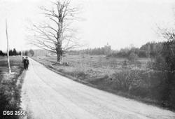 "Andebu kirke og prestegaard. Jarlsberg. "Storeken" i forgru