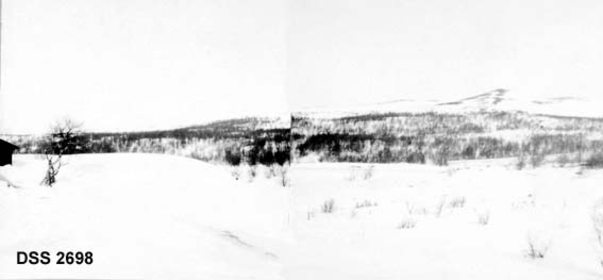 Høgfjellslandskap med bjørkeskog.  Høyre halvdel av bildemontasje fra Avsjøhytta på Dovrefjell.  Uthuset på Avsjøhytta til venstre, lia mot Vålåsjøhøa med varden mot Hjerkinn i bakgrunnen. 