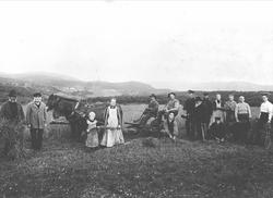 Skuronn på Nesset i Meråker