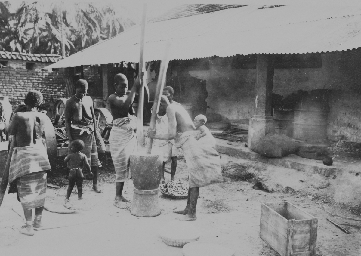 Mosambik. 1914. Fra en plantasje i Quelimane-distriktet. Afrikanske kvinner maler korn for matlaging.