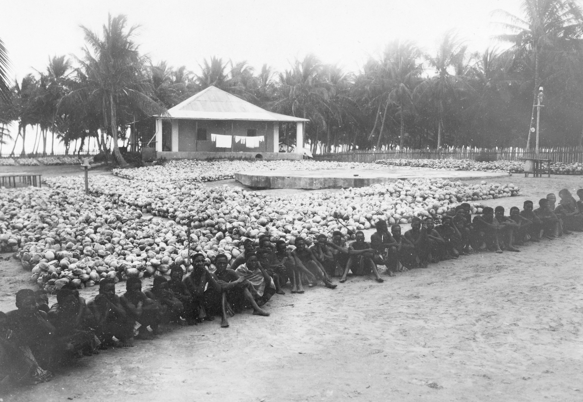Mosambik 1914. Unge plantasjearbeidere og kokosnøtter samlet på en åpen plass på en planasje i Quelimanedistriktet.