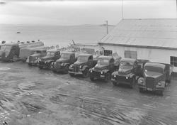 Bilparken til Norsk Brændselolje A/S