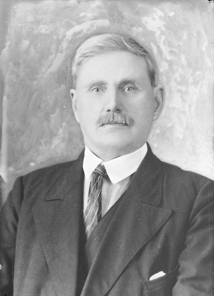 Johan N. Brede, ordfører i Snåsa 1917-19