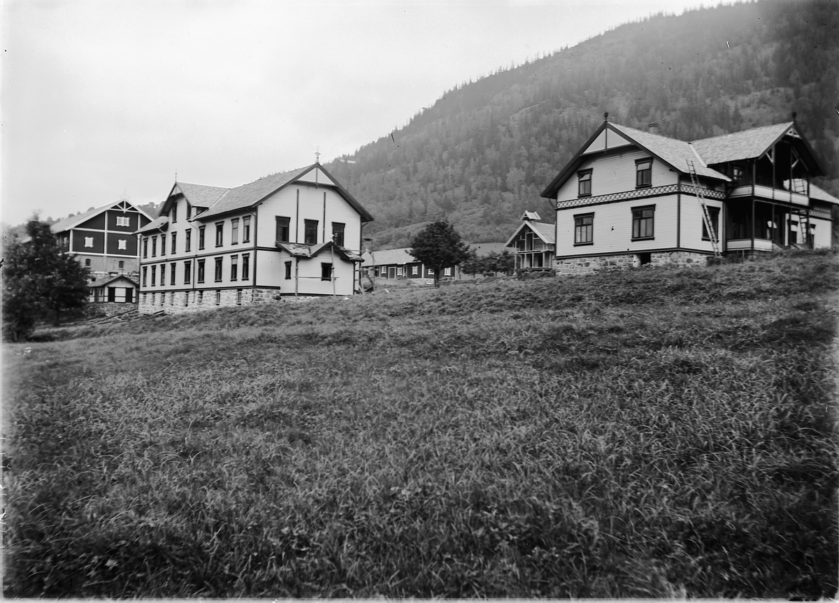 Oppland, Fåberg, Storhove gård, Kristian Amts Landbruksskole fra 1896 med nye skolebygninger, fra 1915 Oppland Landbruksskole til 1970, Stor-Hove,