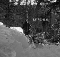 "Første lass kjøres ned. Lillerud, Vestre Gausdal, 1967"