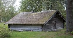 Koie, fløterkoie, damkoie