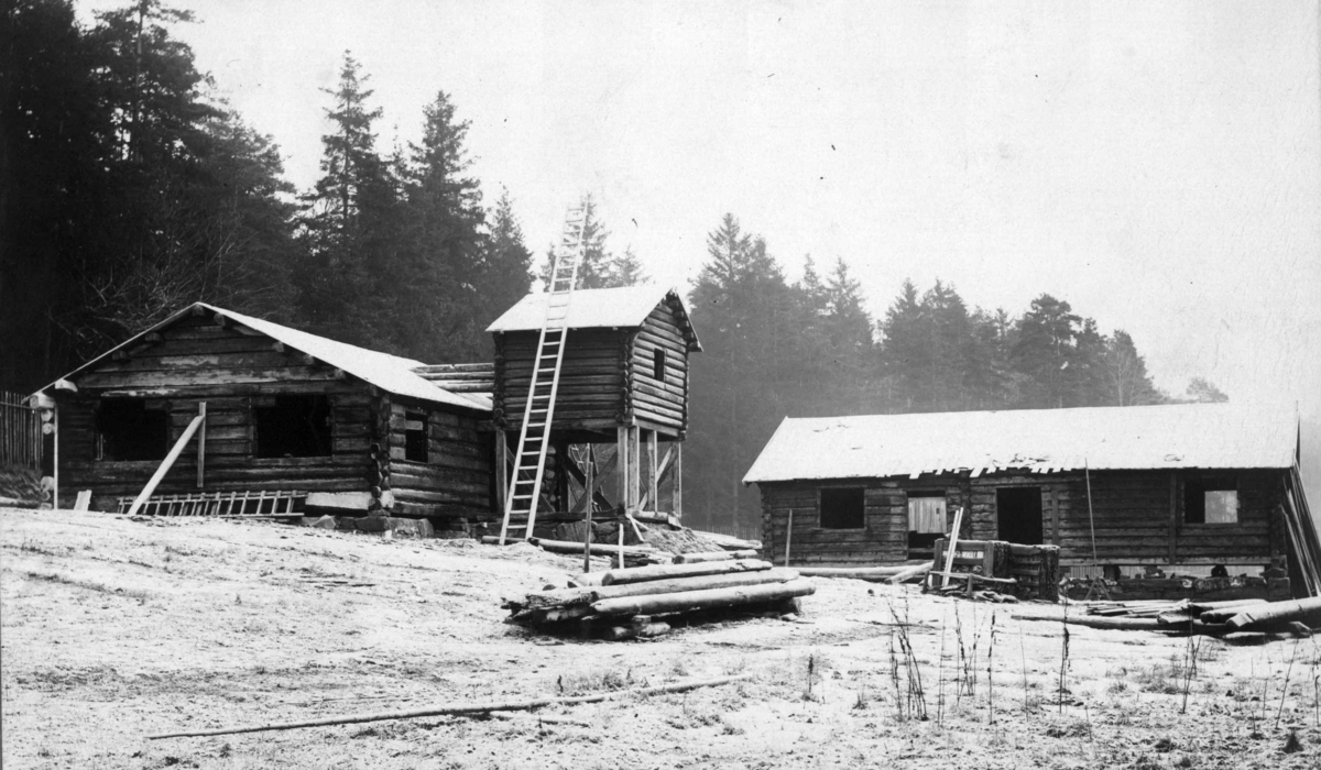 Barfrøstue fra Gammelstu Trønnes, Stor-Elvdal og sommerstue fra Kilde, Åmot. Fotografert under oppsetning  på Norsk folkemuseum i 1904.