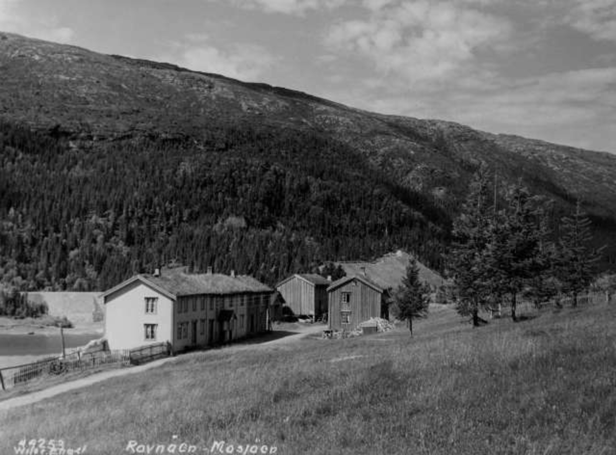Gårdstun med bygninger ved Laksfors, Ravnå ved Mosjøen. Fotografert av Anders Beer Wilse i 1936.
