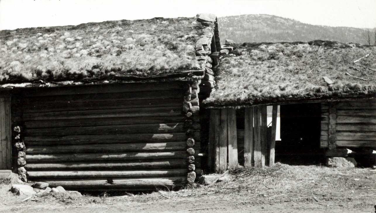 Foto av fjøset, tatt i forbindelse med nedrivingen av fjøset og løa fra Skomedal, som senere er blitt satt opp på Norsk Folkemuseum i Setesdalstunet.
