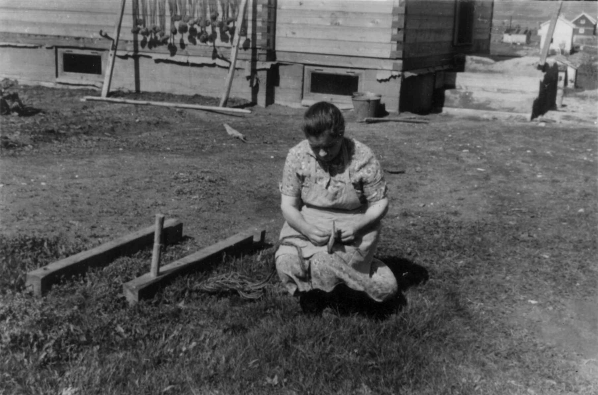 Greneveving. Helene Mikalsen setter opp rennestolen til greneveven. Manndalen 1952.