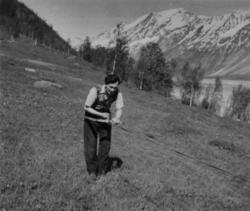 Tautvinning (3). En mann holder i tauvinden. Njosken 1952.