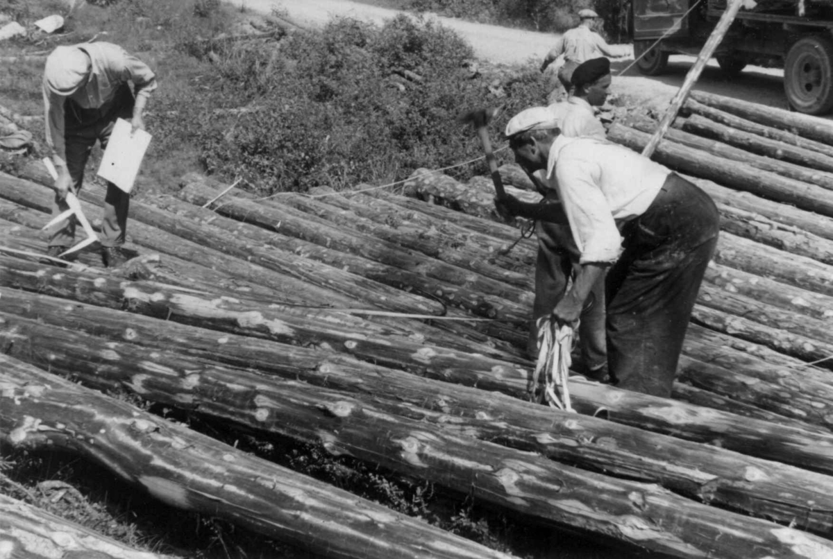 Måling og lessing av tømmer 1953, mellom Notodden og Bø - Telemark
Måling.