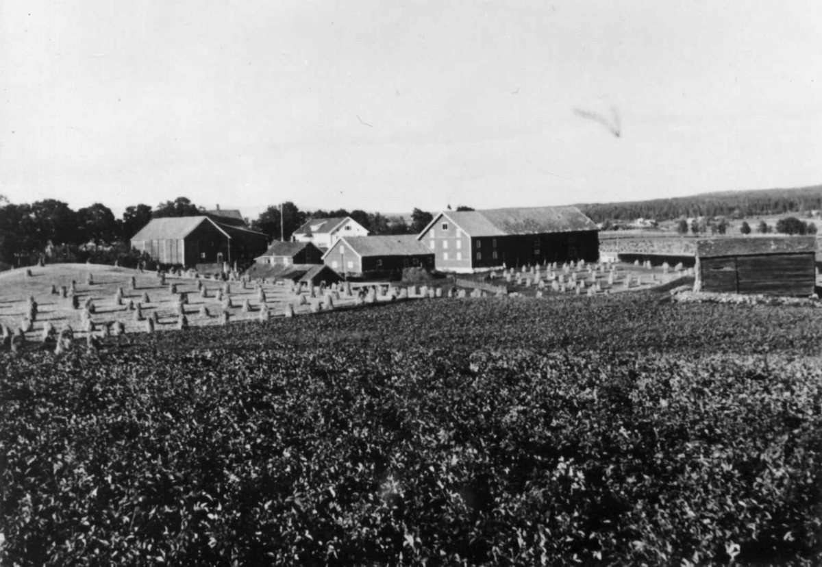 Busvold, Stange, Hedmark. Gammelt  foto av gårdsbebyggelsen. 
Fra dr. Eivind S. Engelstads storgårdsundersøkelser 1957.