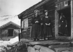 Kvinnedrakter fra Leveld, Ål 1919-1920.  Vinterbilde. Kvinne