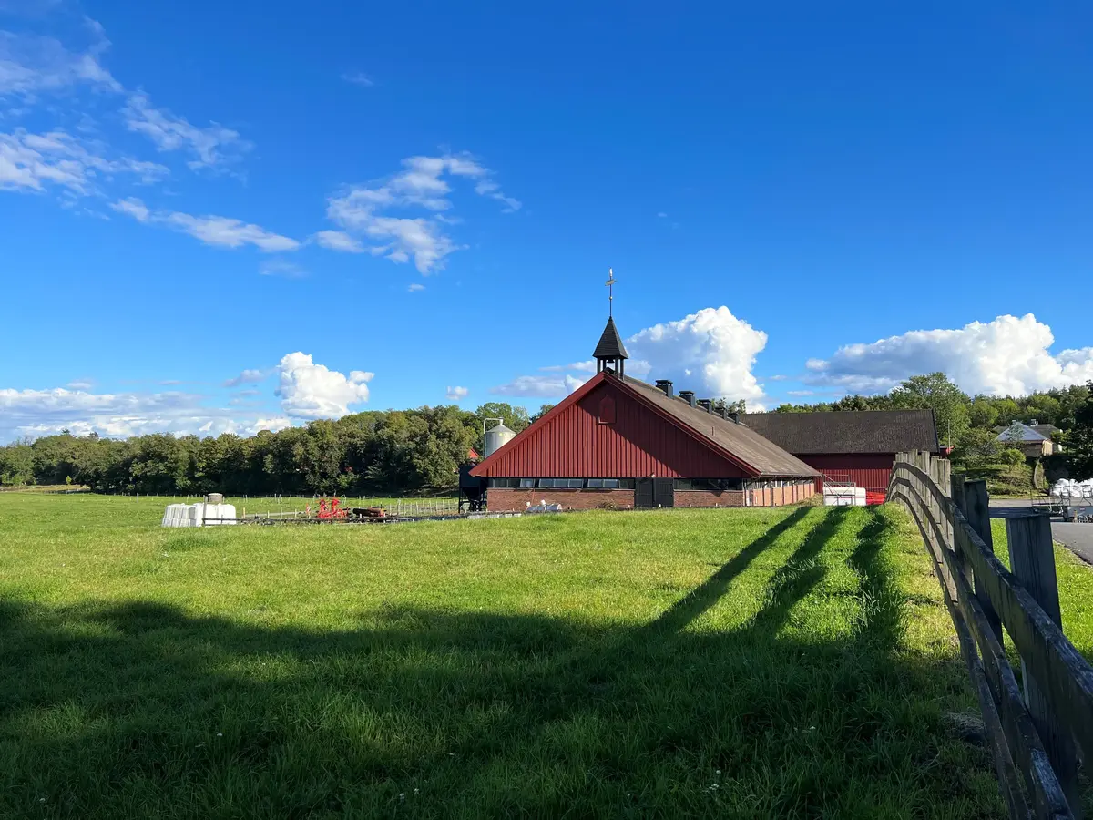 Fjøset på Bygdø Kongsgård med grønt gress og blå himmel